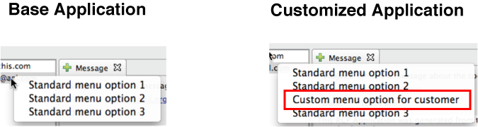 why-rcp-customization